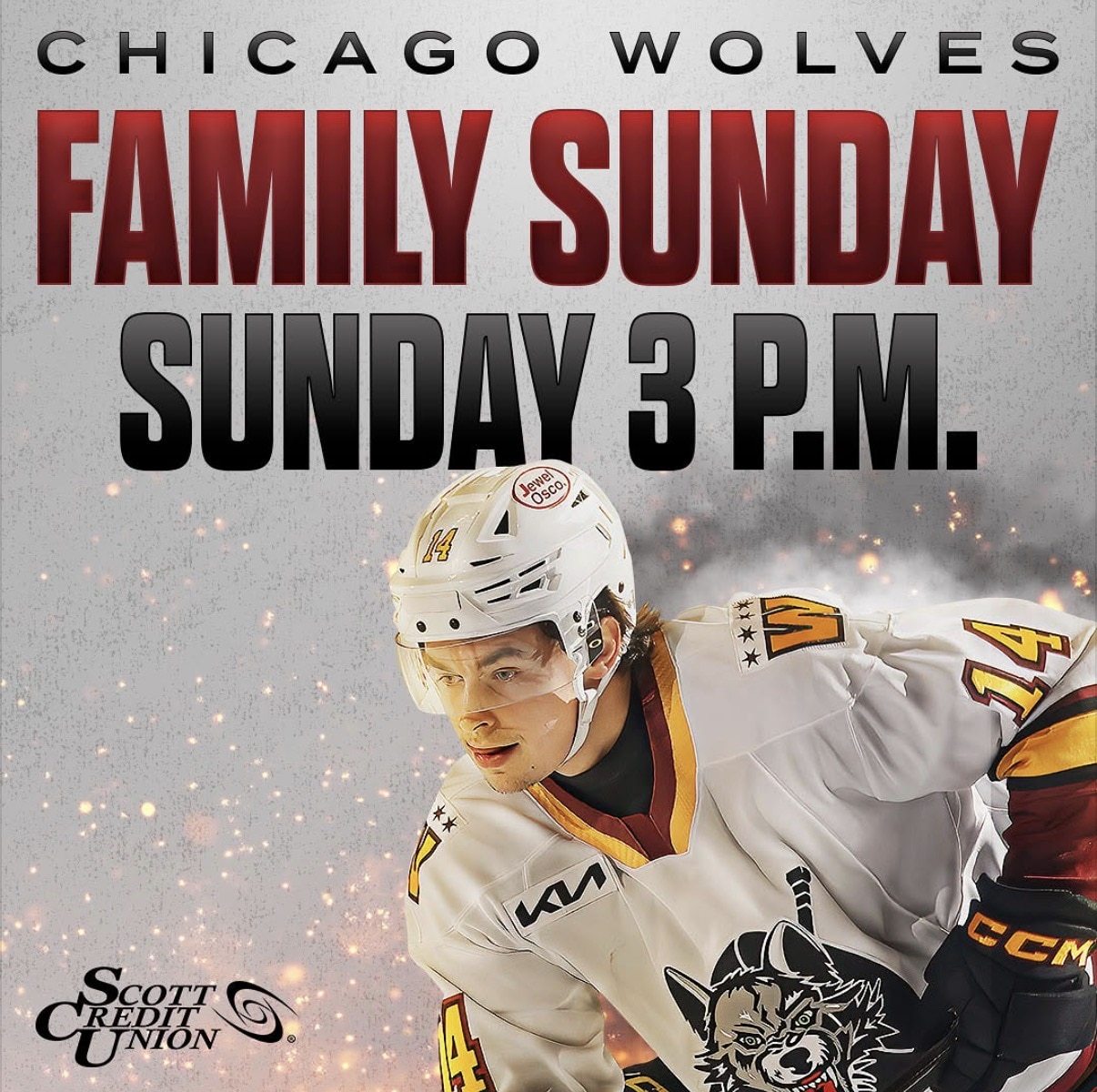 Chicago Wolves vs. Iowa Wild
