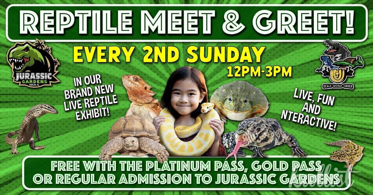 Live Reptile Meet and Greet Sunday