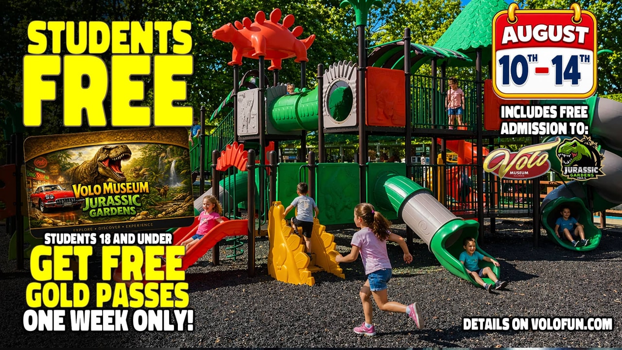Students Get Free Gold Passes