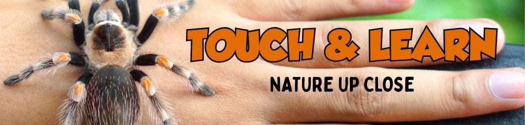 Touch and Learn: Nature Up Close