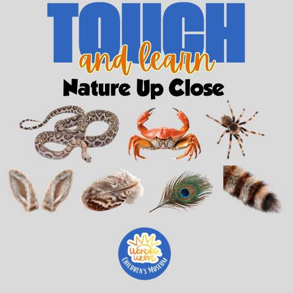 Touch and Learn: Nature Up Close
