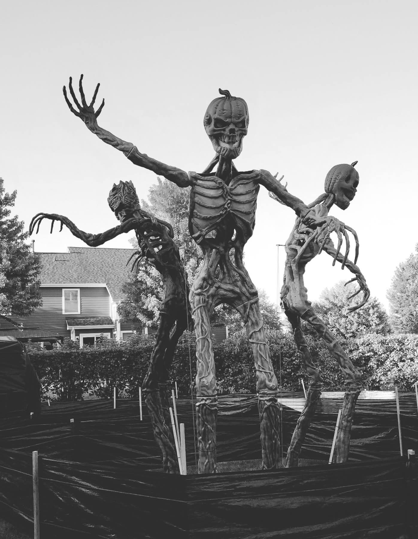Death on Dobson 