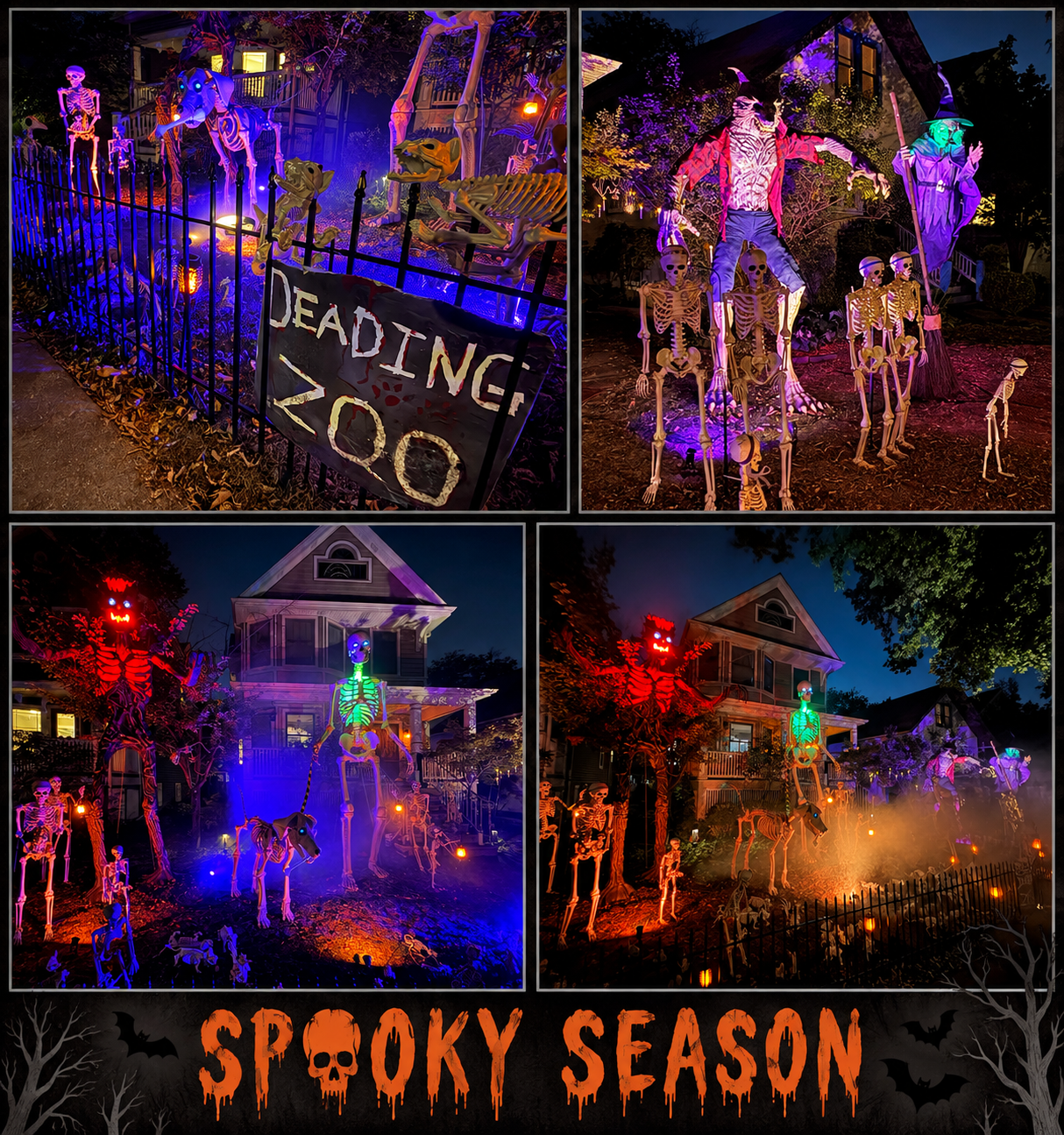 The Dead’ing Zoo