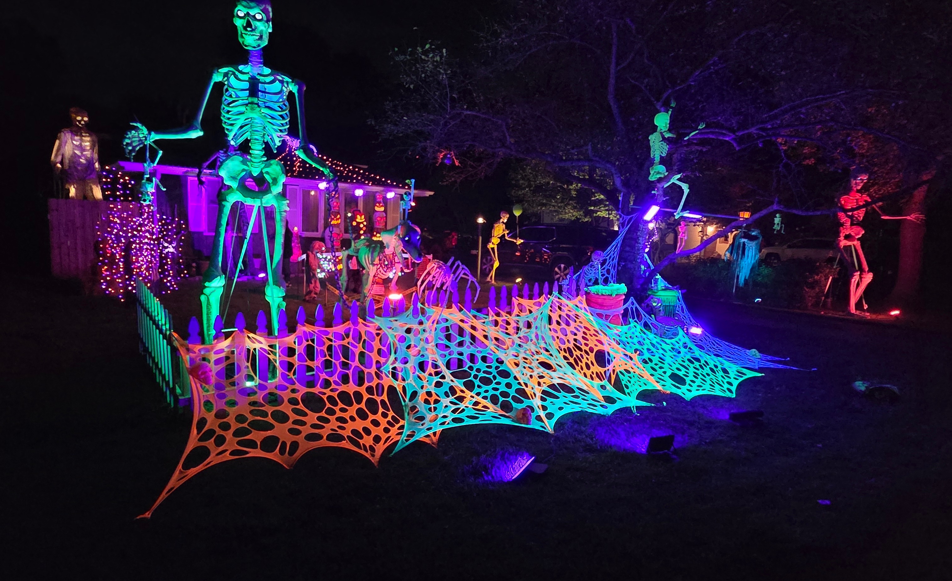 Blacklights on Bolles