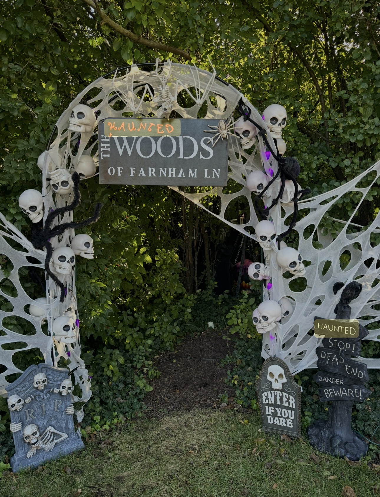 The Haunted Woods of Farnham Ln
