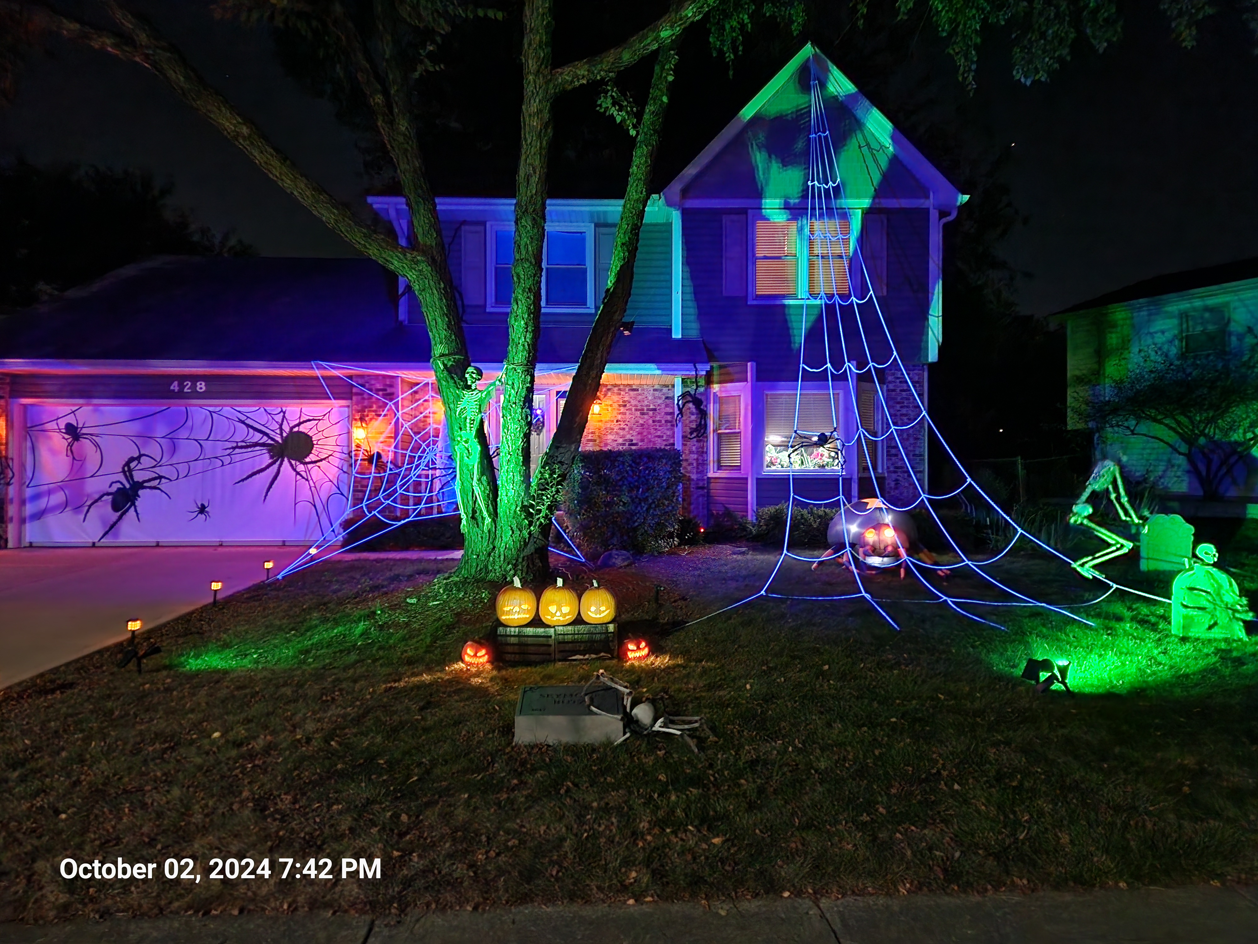 Strong's Skeleton & Spider Spooktacular!