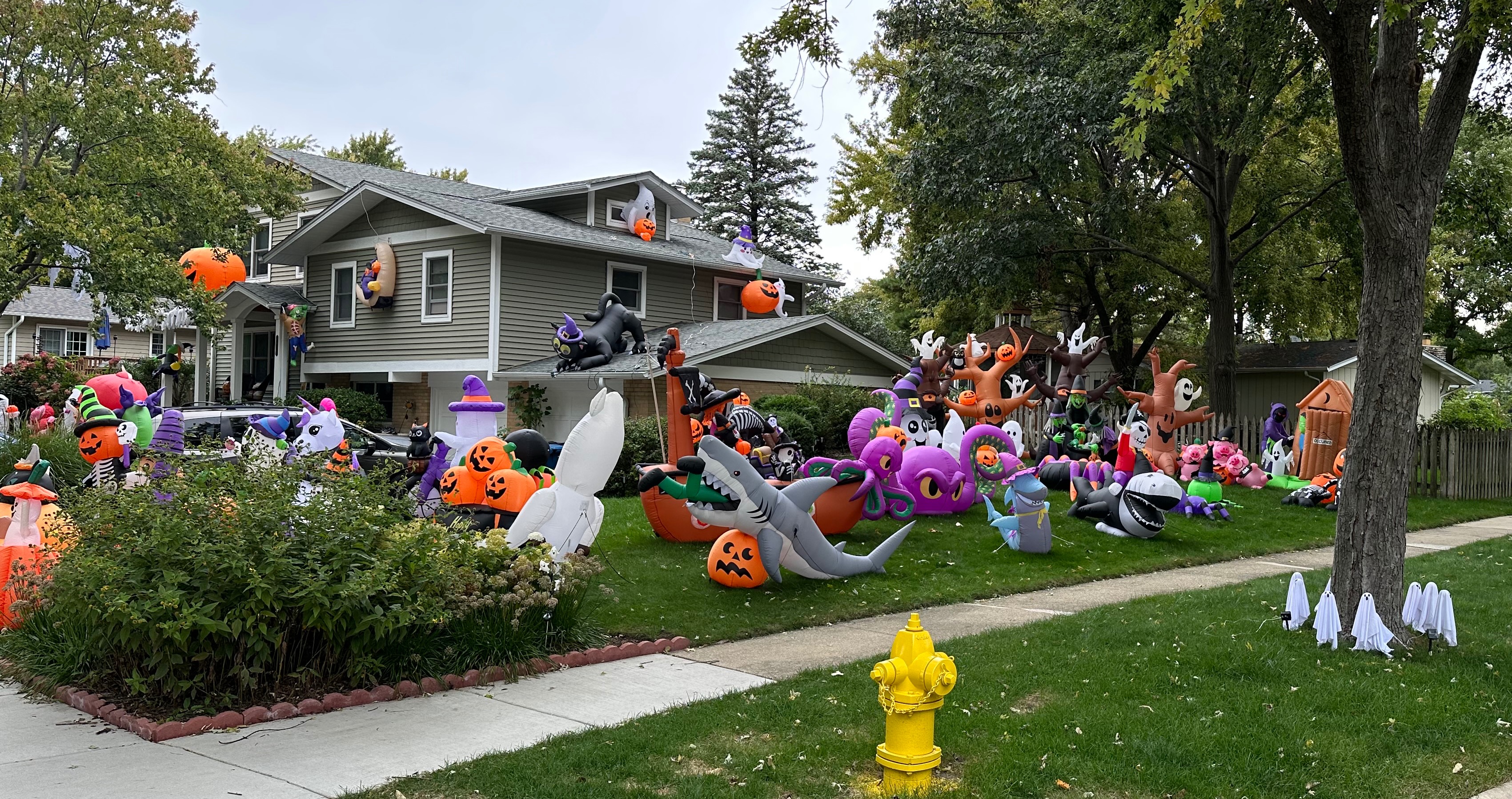 Blow Ups Galore