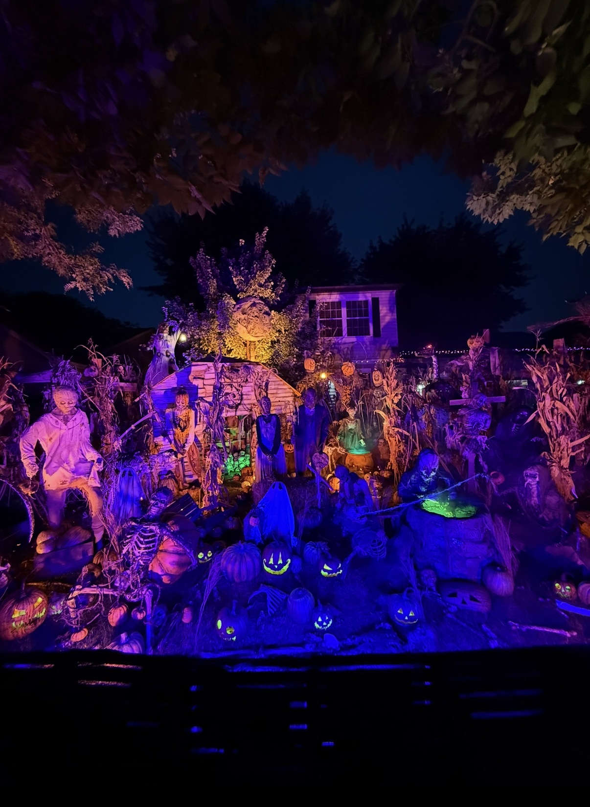 Pumpkin Riot