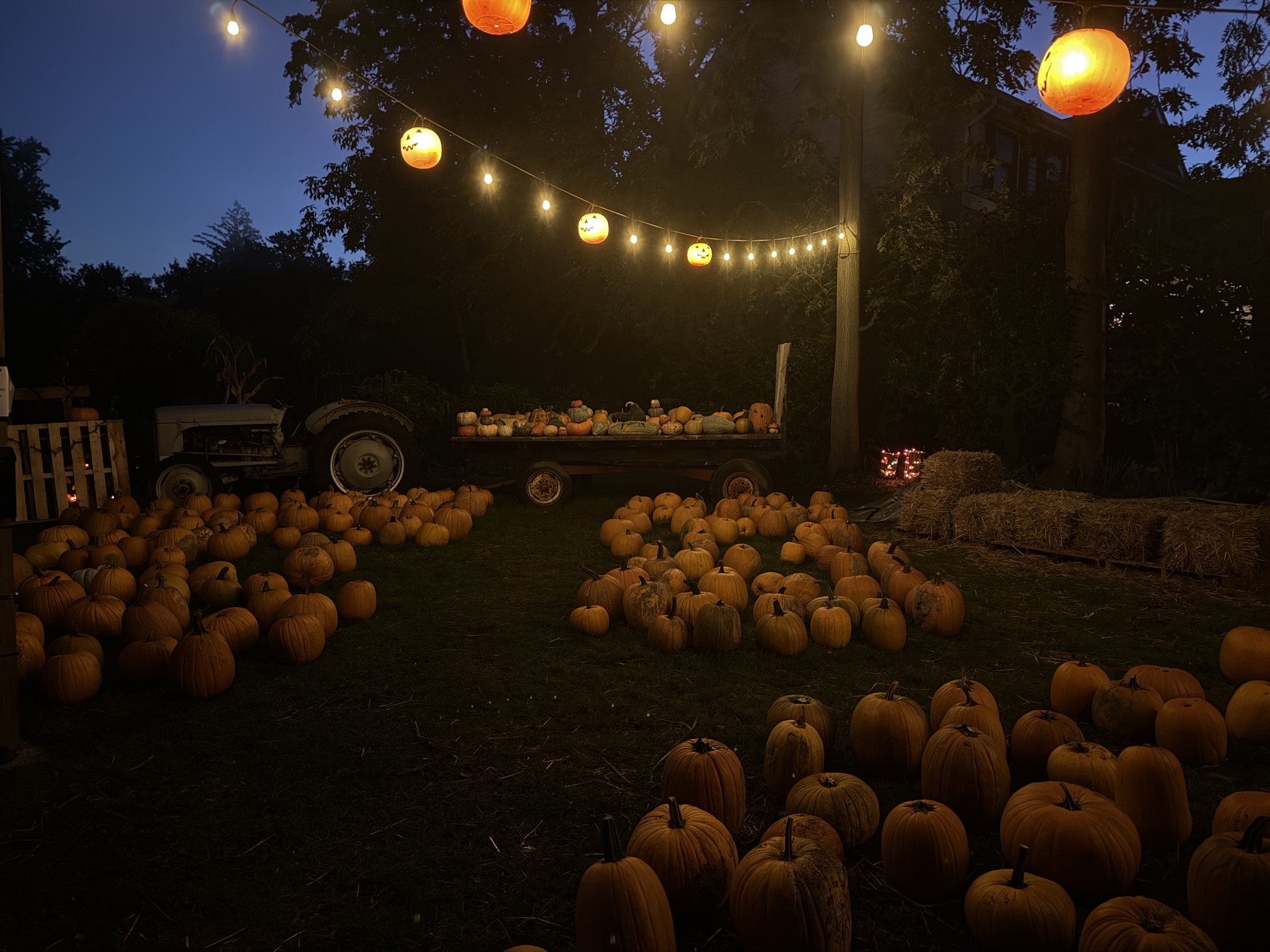 The Haunted Manor and Pop Up Pumpkin Patch!