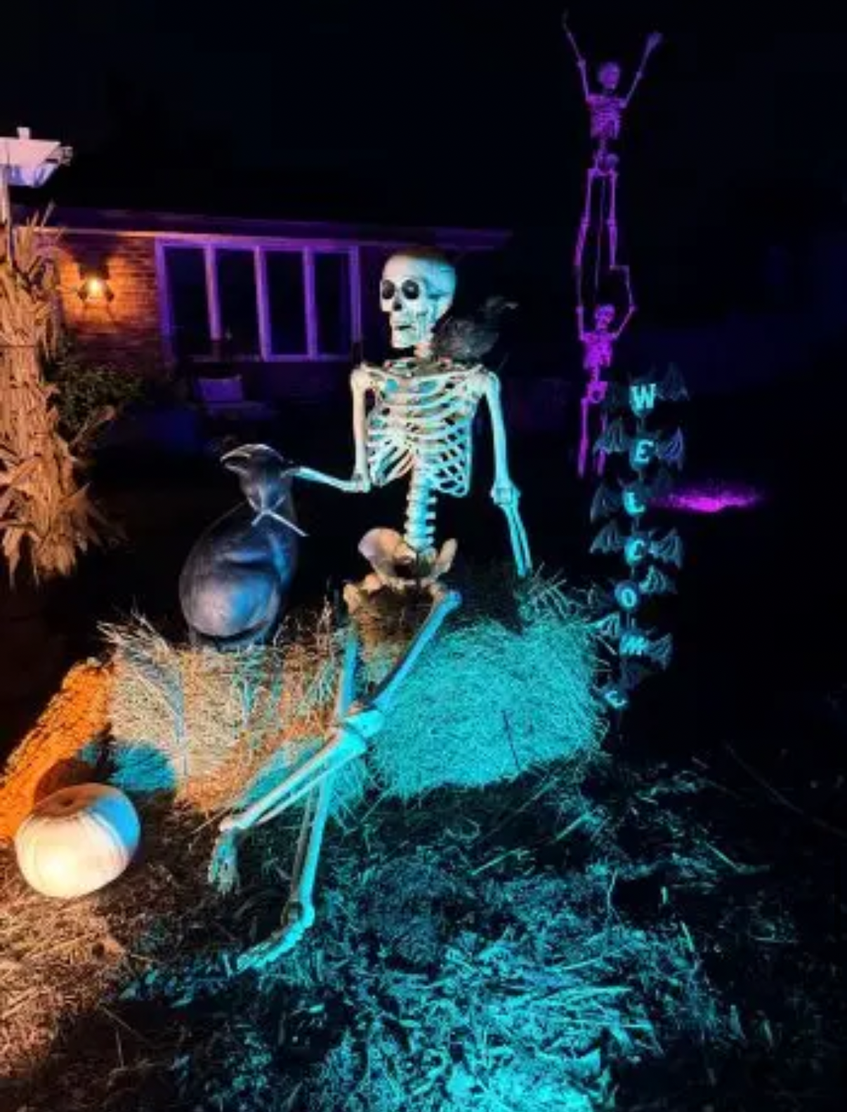 The Bone Brigade