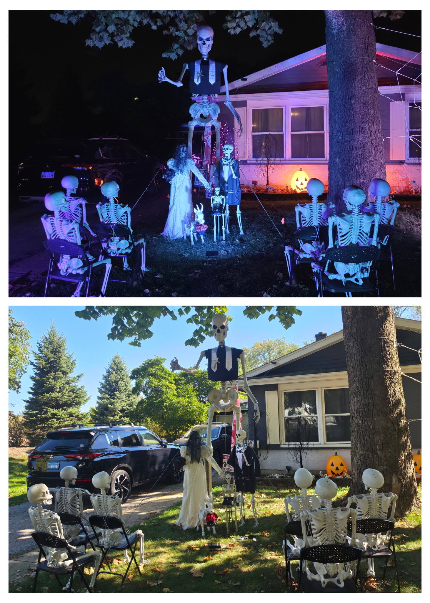 Skeleton Wedding, Proposal and Party