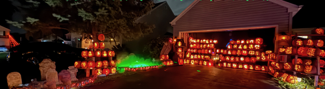 Kelley Hand Carved Pumpkin Patch 