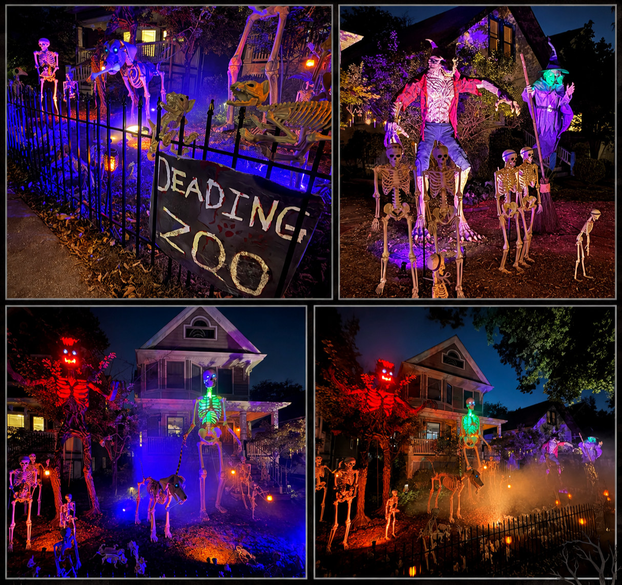 The Dead’ing Zoo