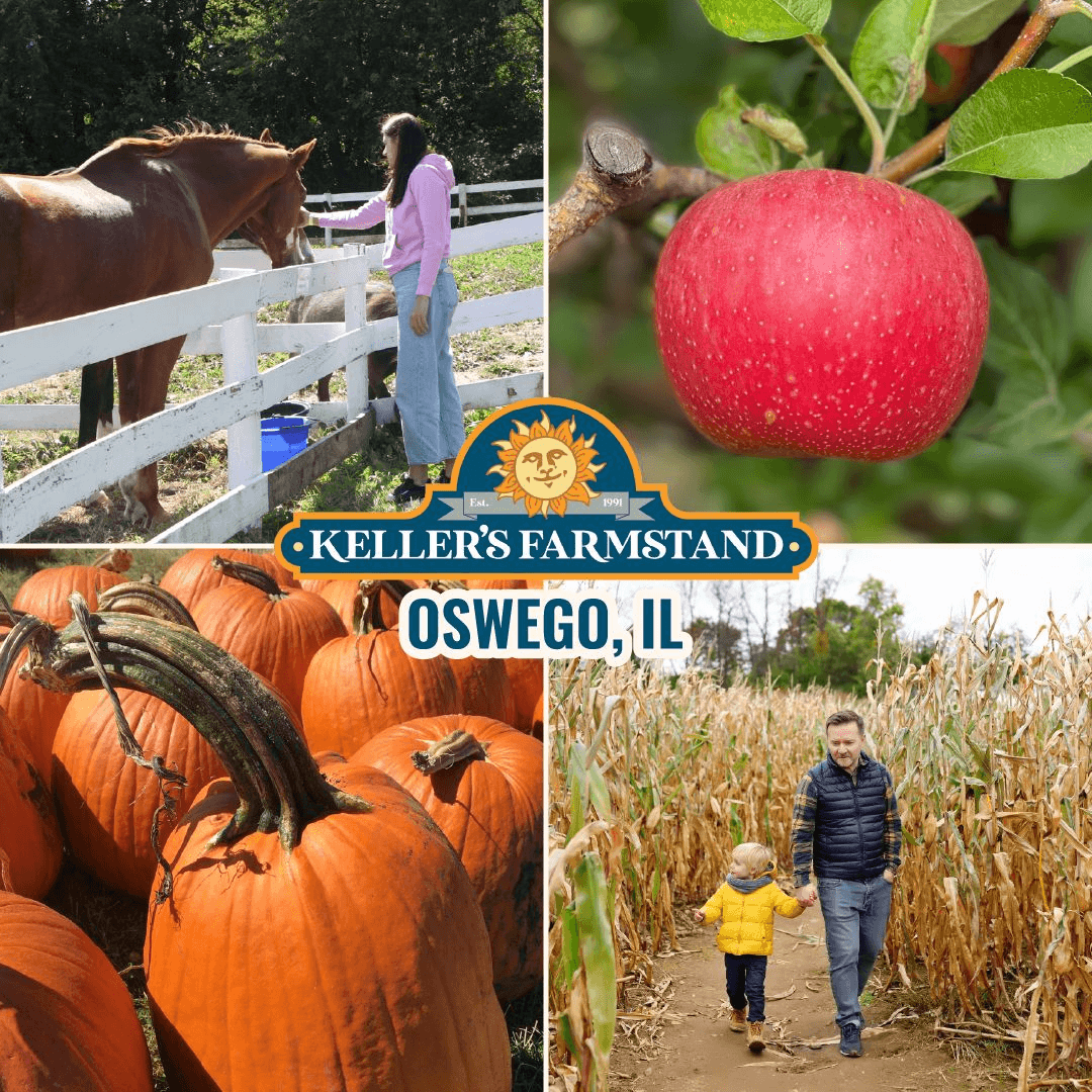 Fall Family Fun at Keller’s Farmstand Oswego