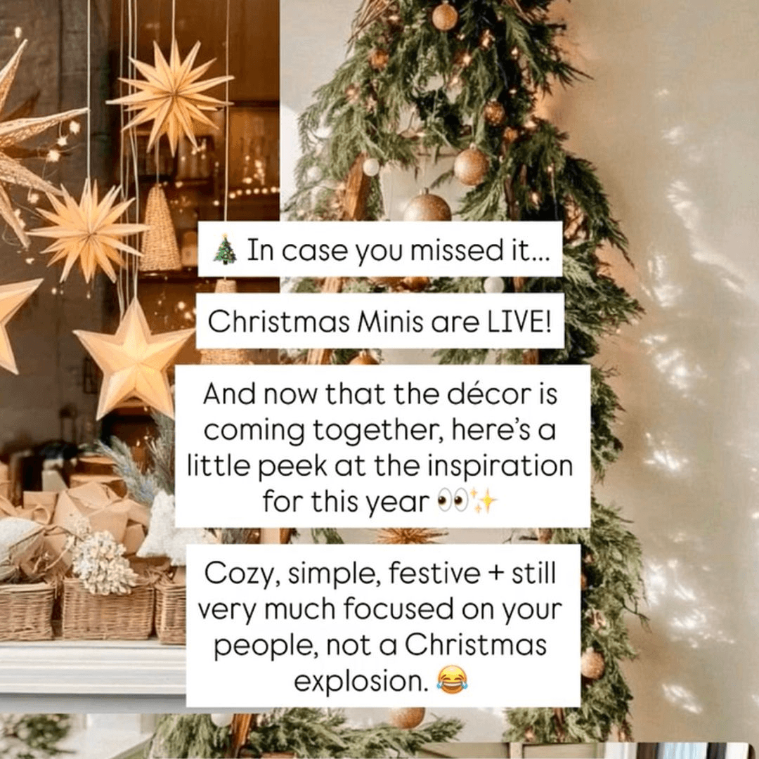 Holiday Minis with Tara Joseph Photography